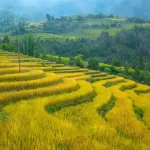 Nhà Nghỉ Hồng Công