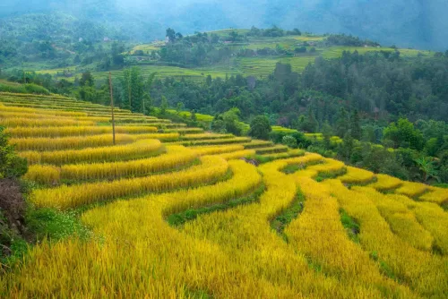 Nhà Nghỉ Hồng Công