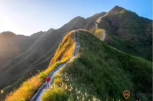 Đường tuần biên ” Sống Lưng Khủng Long”