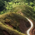 Nhà nghỉ Mai Hoa
