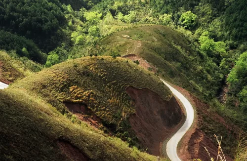 Nhà nghỉ Mai Hoa