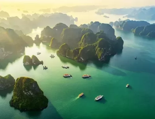 Tận hưởng TOP 20 điểm đến thú vị du lịch Hạ Long để kỳ nghỉ không bao giờ quên