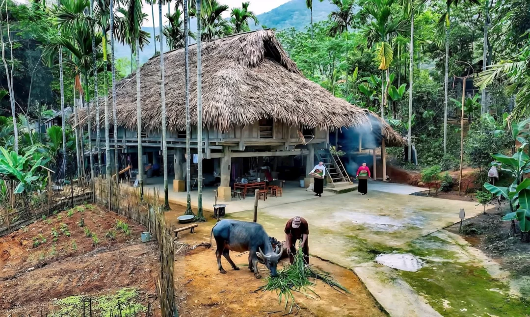 Du lịch xanh: Xu hướng tất yếu đón đầu thị hiếu mới
