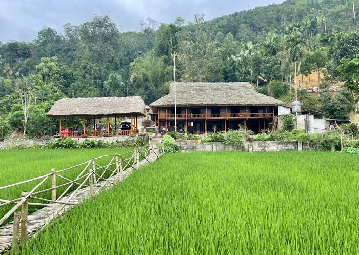Nghĩa Đ&ocirc; hiện đ&atilde; c&oacute; h&agrave;ng chục homestay đang hoạt động, mỗi ng&agrave;y c&oacute; thể phục vụ hơn 500 lượt du kh&aacute;ch tới tham quan v&agrave; nghỉ lại. Ảnh: B&iacute;ch Quy&ecirc;n