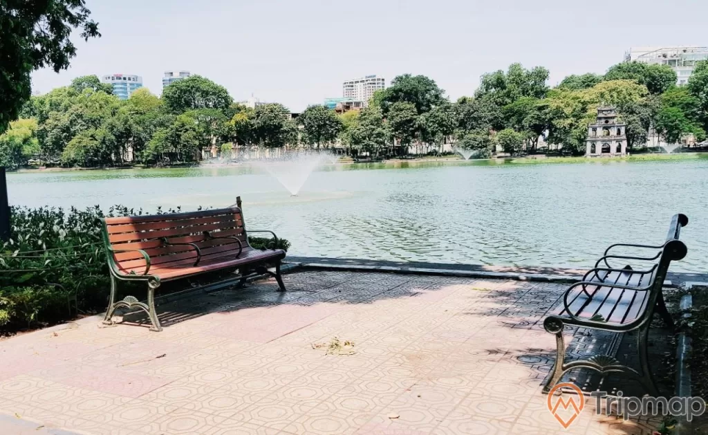 chiếc ghế hồ nước cây cối