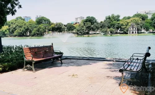 chiếc ghế hồ nước cây cối