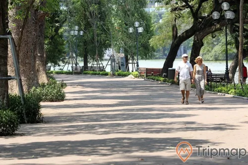 2 người đang đi trên đường hai bên hàng cây