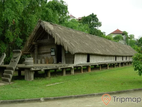 ngôi nhà dài của người dân tộc ê đê trên bãi cỏ xanh tươi