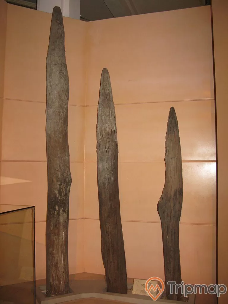 3 chiếc cọc gỗ nhọn