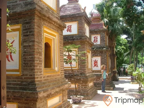 một người nước ngoài đang đứng cạnh các tháp mộ cổ dưới ánh nắng ngoài trời, có 1 chậu cây và cây cối xung quanh tháp mộ cổ